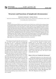 Structure and functions of lampbrush chromosomes - BioTechnologia