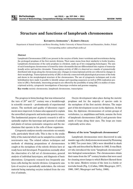 Structure and functions of lampbrush chromosomes - BioTechnologia
