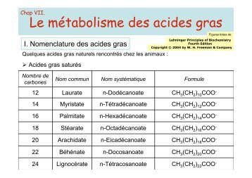 Le mÃ©tabolisme des acides gras - IBMC