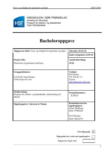 Prosjektrapport