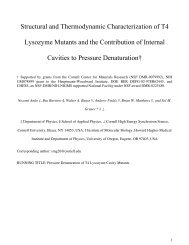 Structural and Thermodynamic Characterization of T4 Lysozyme ...