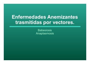 Babesia y anaplasma