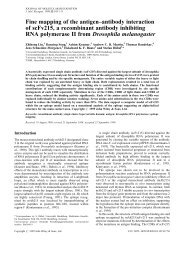 Fine mapping of the antigen–antibody interaction of scFv215, a ...