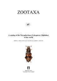 ZOOTAXA