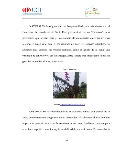 Proyecto Final Circuito Turistico El Naranjillado.pdf - Repositorio ...