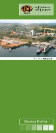 Group Booklet 2010 new.indd - TCL Group