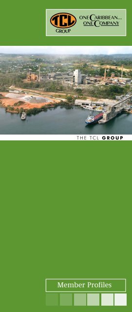 Group Booklet 2010 new.indd - TCL Group