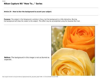 Nikon Capture NX How to... Series