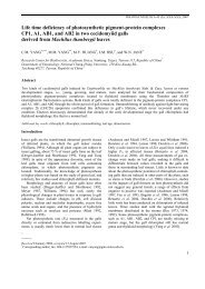 Life time deficiency of photosynthetic pigment-protein complexes ...