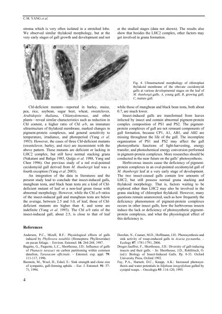 Life time deficiency of photosynthetic pigment-protein complexes ...