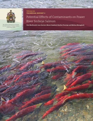 Potential Effects of Contaminants on Fraser River Sockeye Salmon