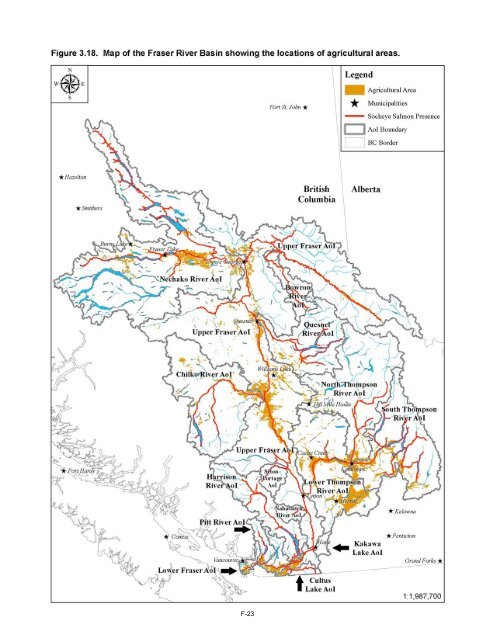 Potential Effects of Contaminants on Fraser River Sockeye Salmon