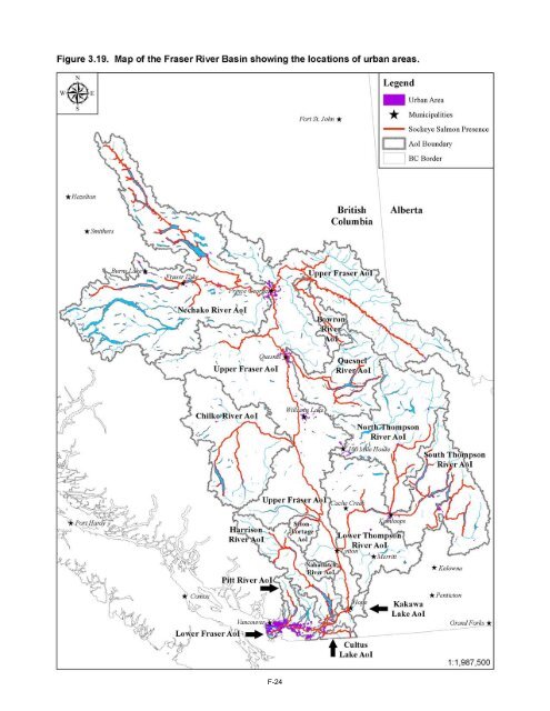 Potential Effects of Contaminants on Fraser River Sockeye Salmon