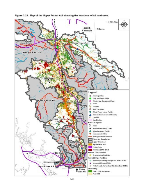 Potential Effects of Contaminants on Fraser River Sockeye Salmon