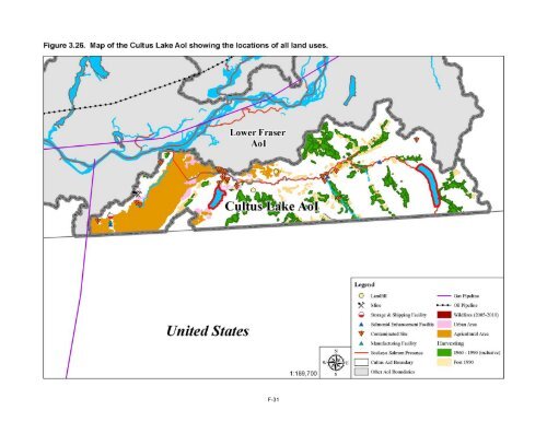 Potential Effects of Contaminants on Fraser River Sockeye Salmon