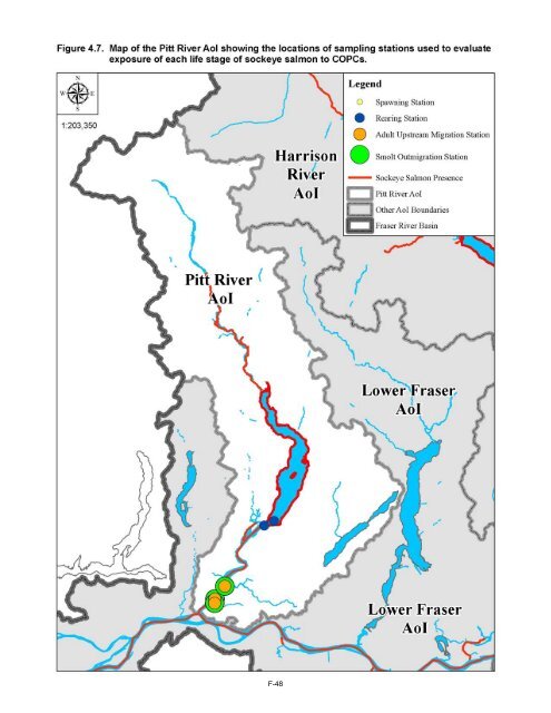 Potential Effects of Contaminants on Fraser River Sockeye Salmon