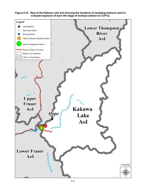 Potential Effects of Contaminants on Fraser River Sockeye Salmon