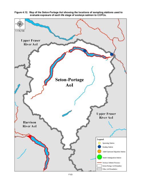 Potential Effects of Contaminants on Fraser River Sockeye Salmon