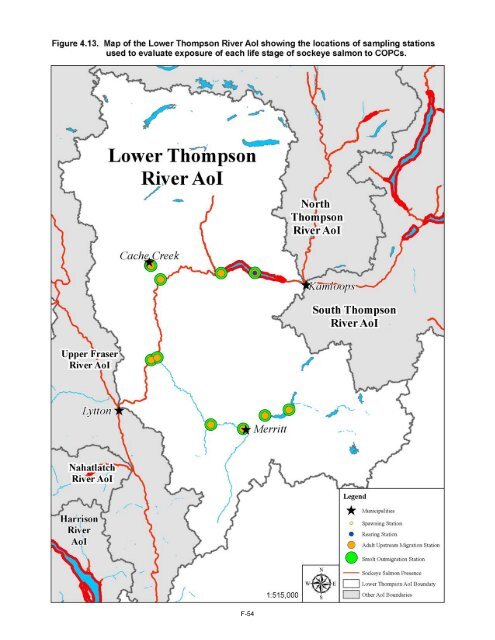 Potential Effects of Contaminants on Fraser River Sockeye Salmon