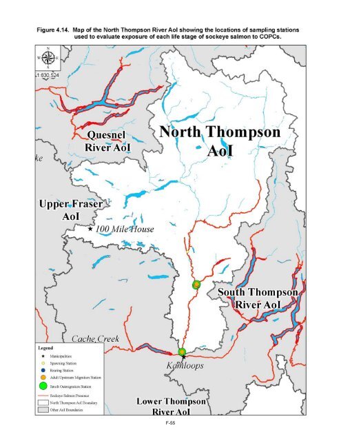 Potential Effects of Contaminants on Fraser River Sockeye Salmon