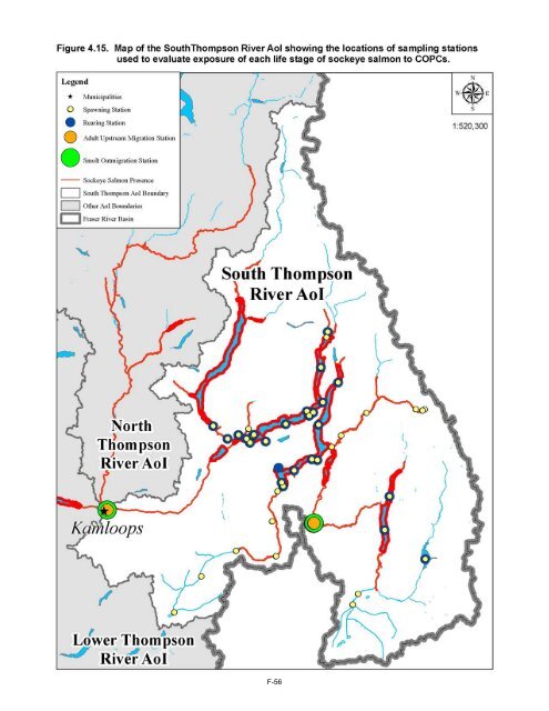 Potential Effects of Contaminants on Fraser River Sockeye Salmon