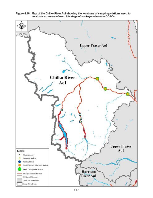 Potential Effects of Contaminants on Fraser River Sockeye Salmon