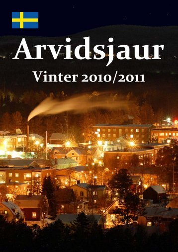 Vinter i Arvidsjaur 2010/2011