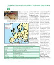 Recent Changes in the European Dragonfly Fauna - LUPO GmbH