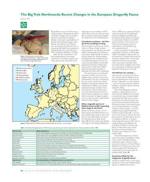 Recent Changes in the European Dragonfly Fauna - LUPO GmbH