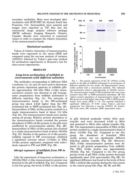 isoform-like proteins in marine euryhaline milkfish (Chanos