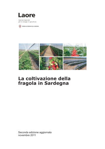 La coltivazione della fragola in Sardegna [file .pdf]