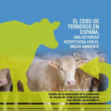 El cebo de terneros en España, una actividad - Eurocarne