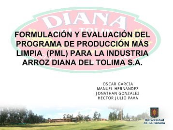 Formulación y Evaluación del Programa de Producción mas Limpia