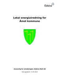 Lokal energiutredning for Ãmot kommune - Eidsiva Nett AS