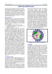 VIROLOGIA: MORFOLOGIA - Sezione di Microbiologia