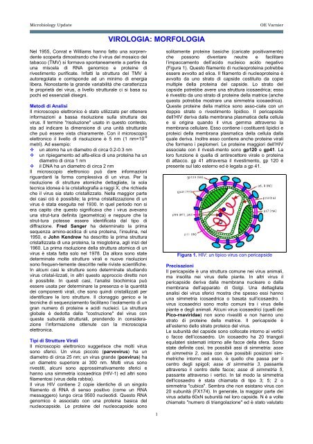VIROLOGIA: MORFOLOGIA - Sezione di Microbiologia