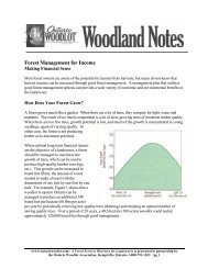 Forest Management for Income - Ontario woodlot.com
