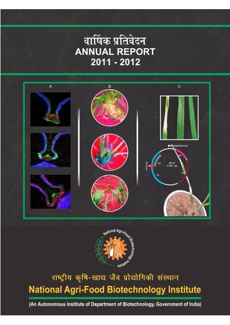 Annual Report 2011-2012 - Nabi.res.in