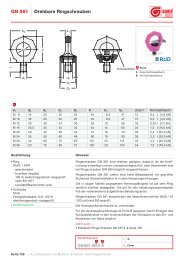 Normblatt GN 581 PDF - Ganter