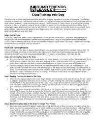 Crate Training Your Dog