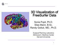 FreeSurfer Course - 3D Slicer