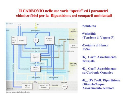 IL COMPARTO SUOLO - UniversitÃ  dell'Insubria