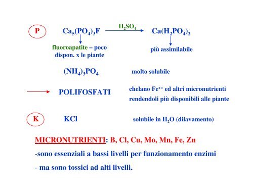 IL COMPARTO SUOLO - UniversitÃ  dell'Insubria