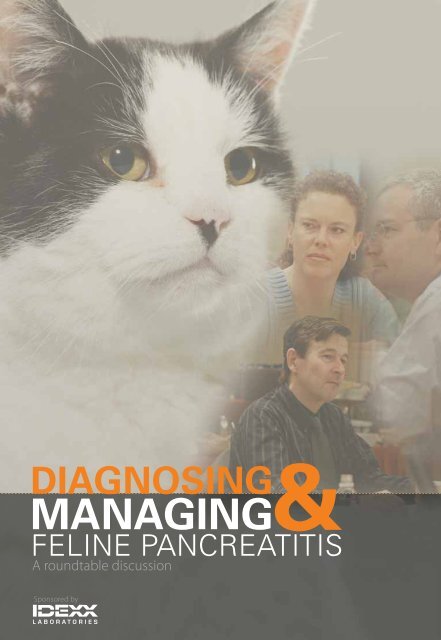 Feline Pancreatits - Roundtable discussion - IDEXX Laboratories