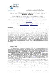 Microstructural Evaluation and Properties of a Ceramic Body