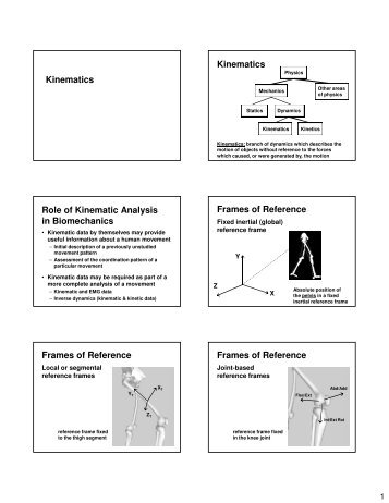 Kinematics Kinematics Role of Kinematic Analysis in Biomechanics ...