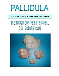 October, 2004 - British Shell Collectors' Club