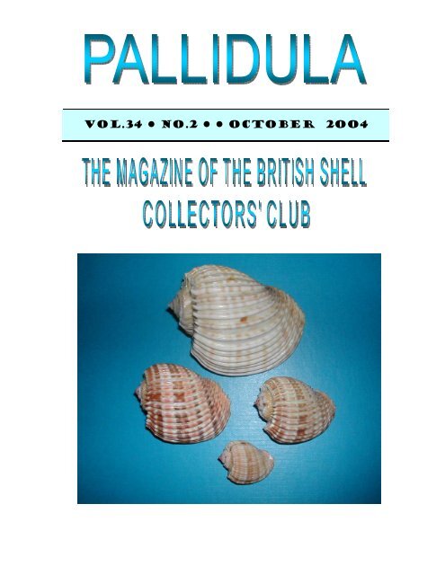 October, 2004 - British Shell Collectors' Club