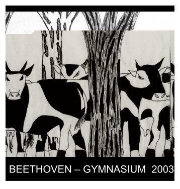 Jahresbericht BG 2003 - Beethoven-Gymnasium