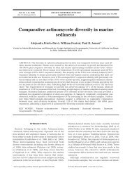 Comparative actinomycete diversity in marine sediments